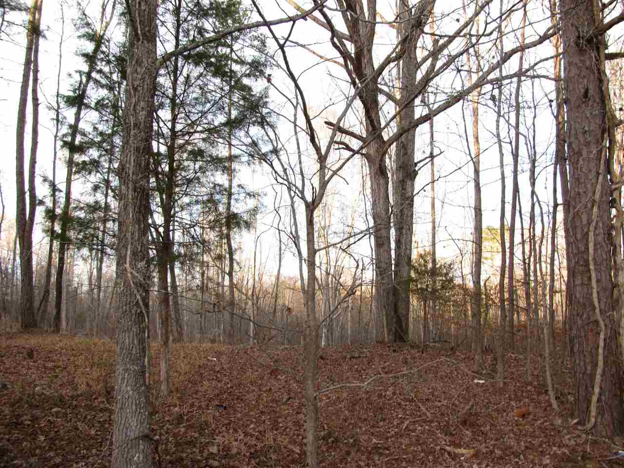 30 A Centerview Road Savannah, TN 38372 - Photo 3 of 21