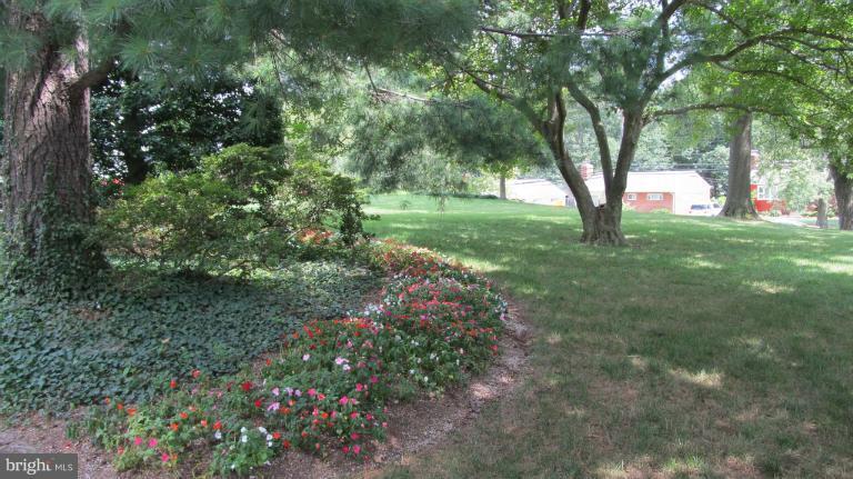 507 Dennis Avenue Silver Spring, MD 20901 - Photo 22 of 28 Gallery Image 22