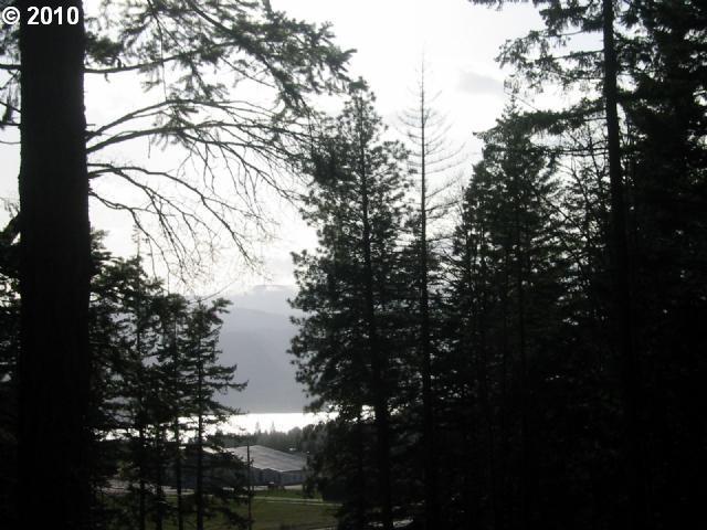 Childs Road White Salmon, WA 98672 - Photo 1 of 4 Gallery Image 1