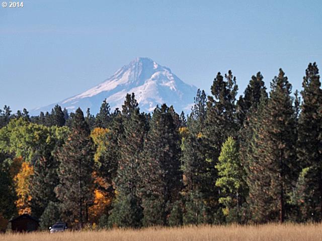 West Homestead Road, Unit LOT18 Goldendale, WA 98620 - Photo 1 of 16 Gallery Image 1