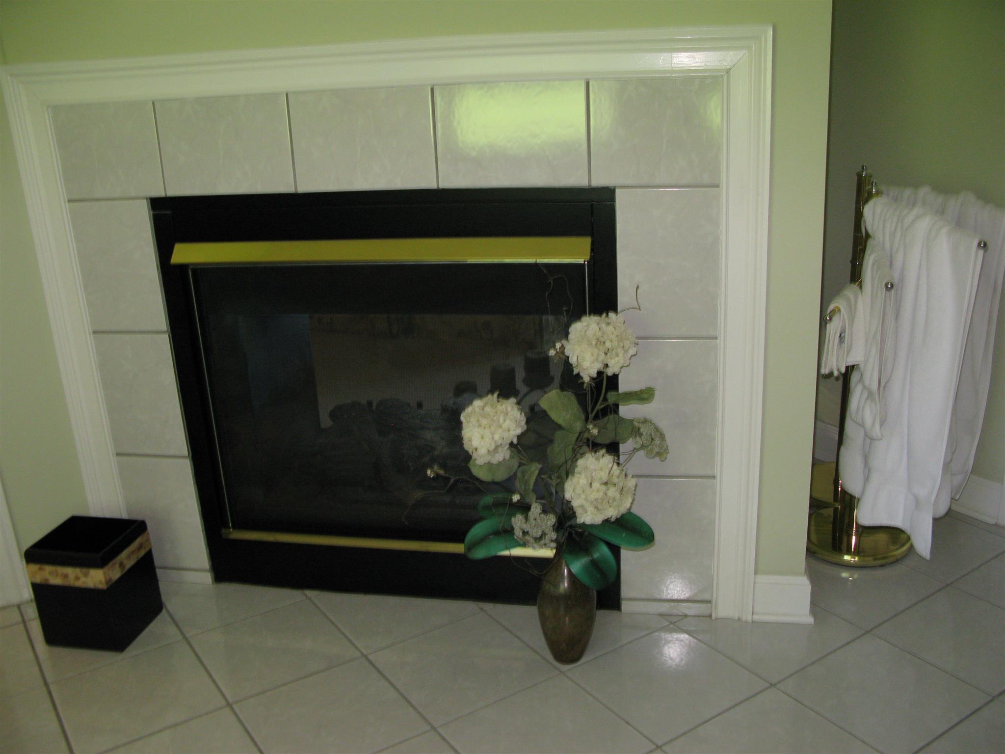 44 Spring Valley Road Taft, TN 38488 - Photo 32 of 45 Gas log fire place in master bath