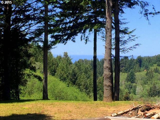 95915 Sundown Road Brookings, OR 97415 - Photo 12 of 16