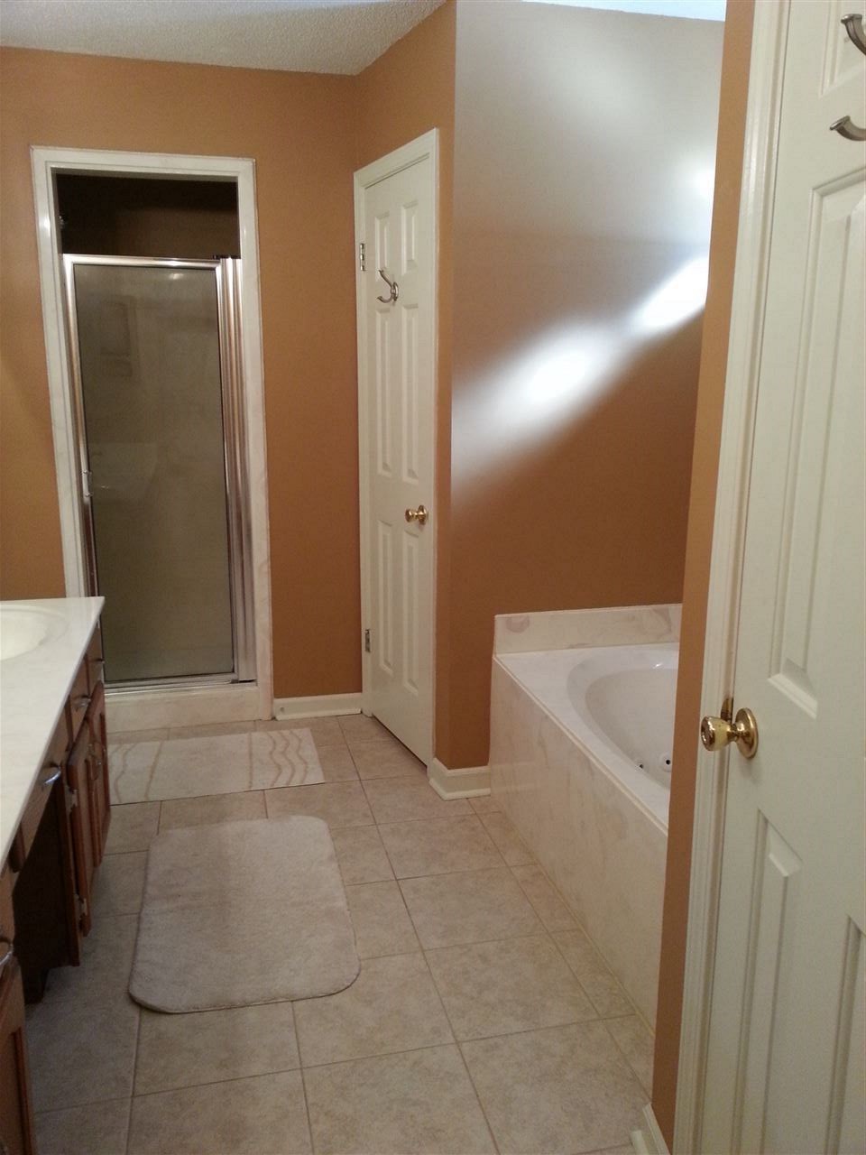 257 Cross Point Cove Collierville, TN 38017 - Photo 19 of 25 Whirlpool, separate shower!