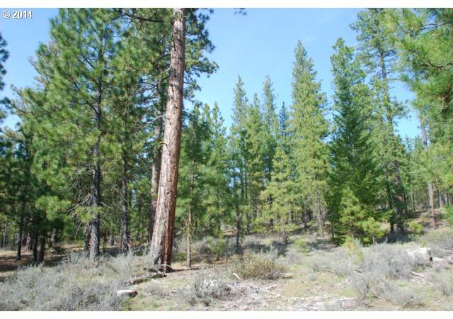 Box Canyon Road, Unit 1 Goldendale, WA 98620 - Photo 10 of 15 Gallery Image 10