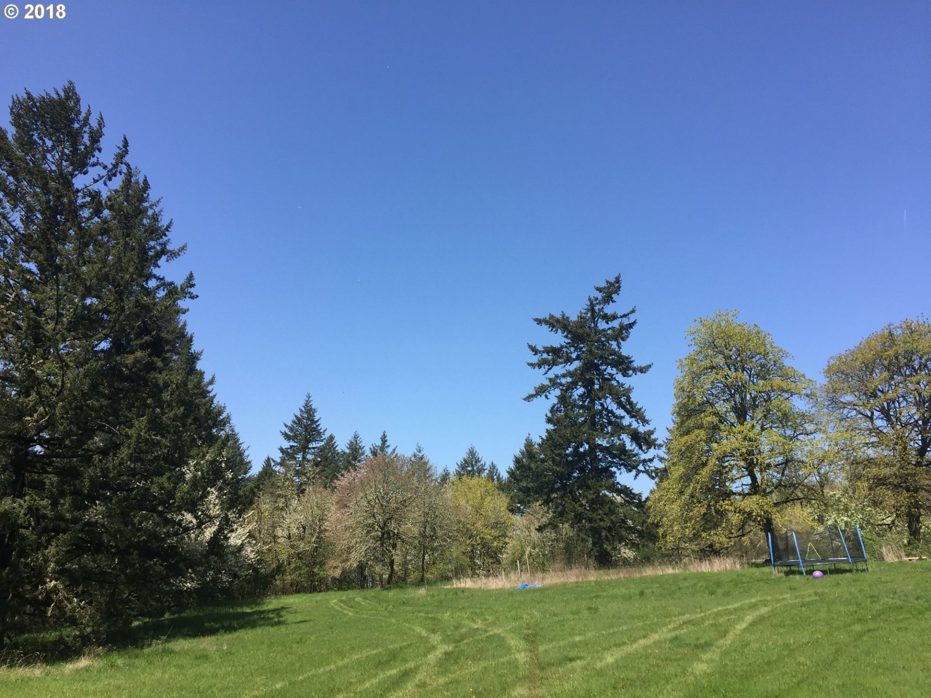 39691 Southwest Gibson Road Gaston, OR 97119 - Photo 11 of 14