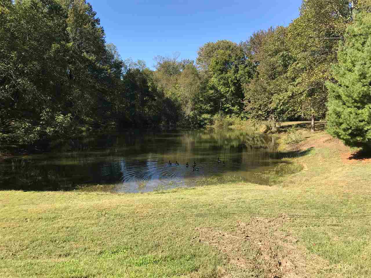 649 Cullum Road Munford, TN 38058 - Photo 3 of 19 Gallery Image 3