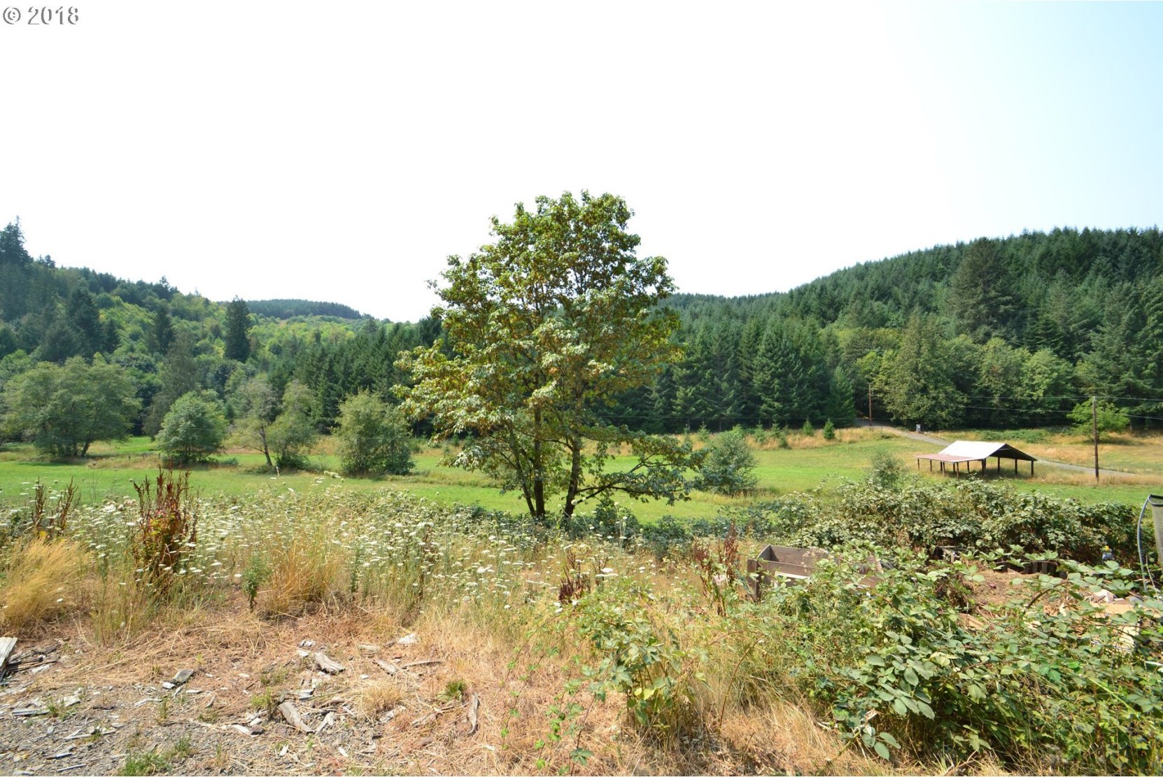 29320 Northwest Williams Canyon Road Gaston, OR 97119 - Photo 9 of 20