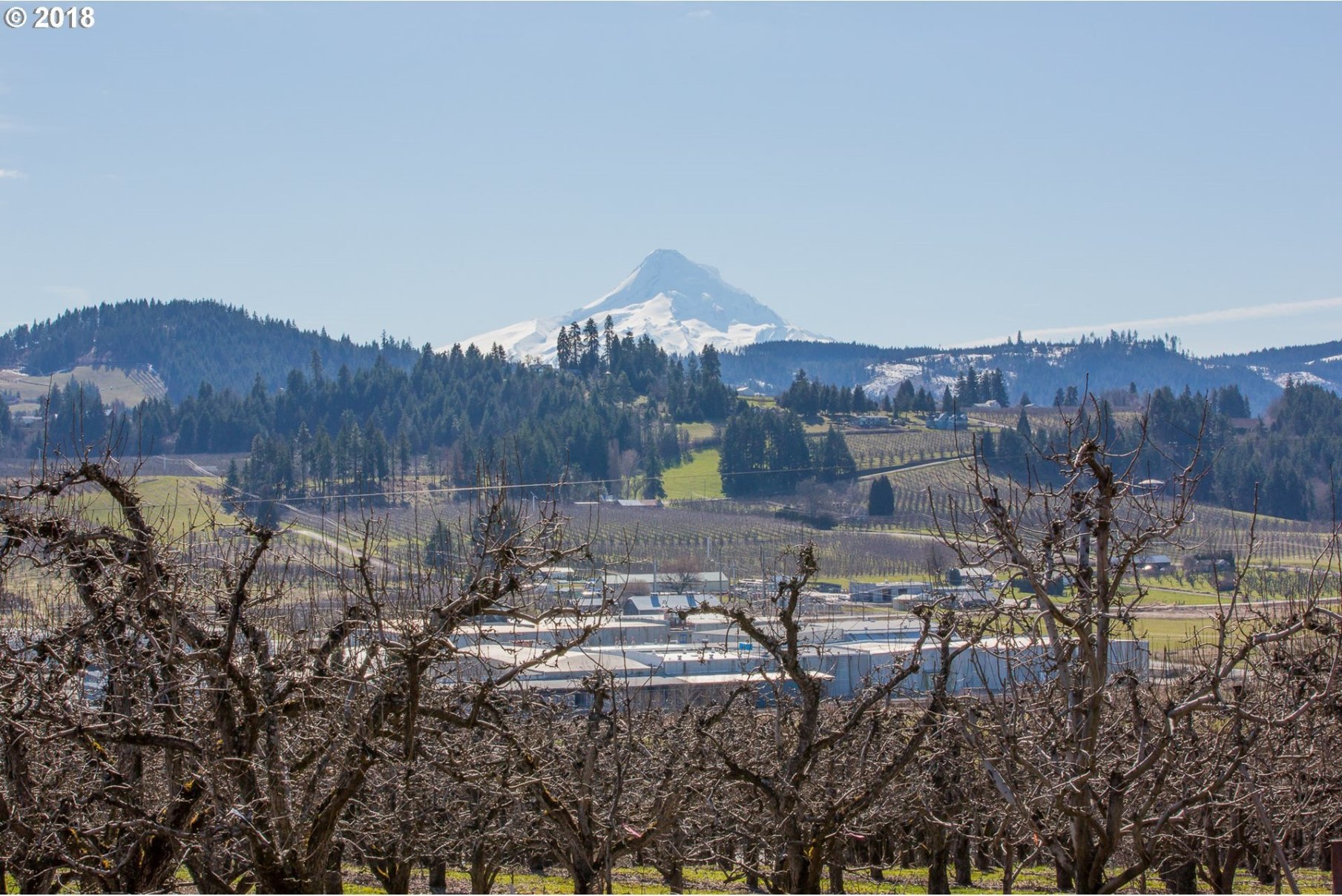 3187 Lingren Road Hood River, OR 97031 - Photo 19 of 32 Gallery Image 19