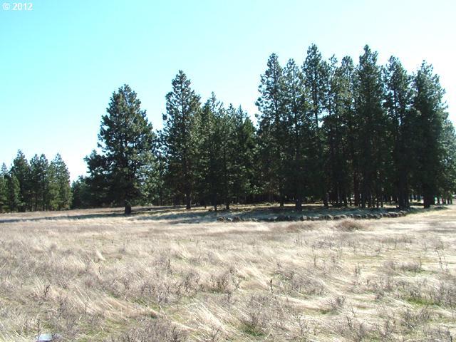 Austin Road Goldendale, WA 98620 - Photo 13 of 15 Gallery Image 13