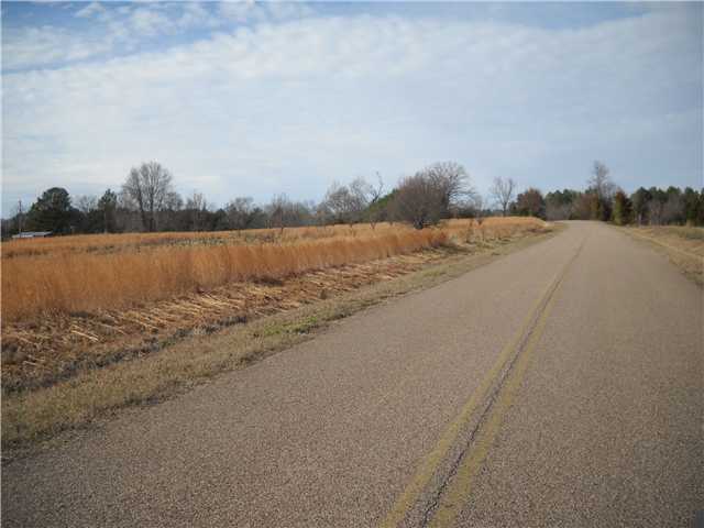 95 North Liberty Road Michie, TN 38357 - Photo 3 of 6 Gallery Image 3