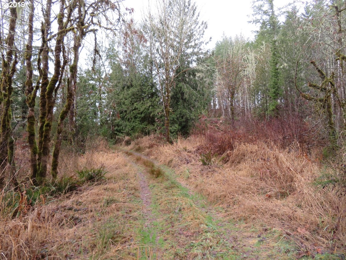 505 State Route Toledo, WA 98591 - Photo 29 of 32