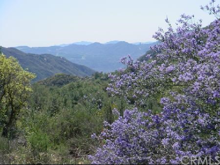 38881 Pala Temecula Road Rainbow, CA 00000 - Photo 1 of 1 Gallery Image 1