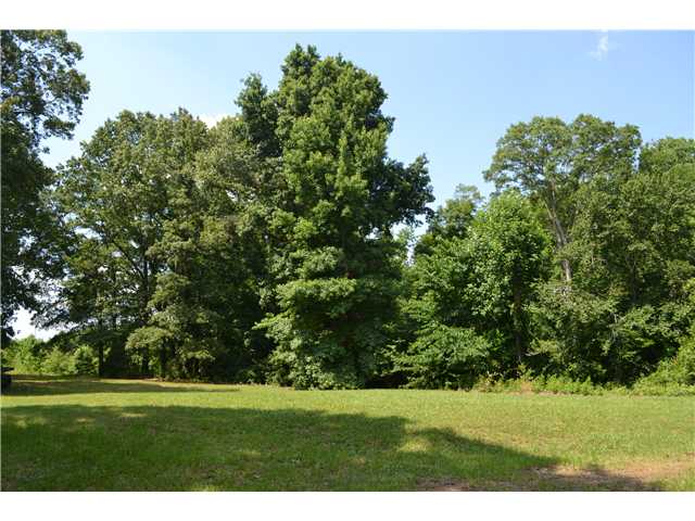 7466 Ricks Road Arlington, TN 38002 - Photo 19 of 20 Gallery Image 19