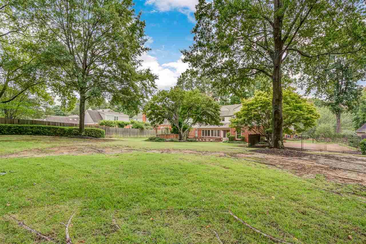 2044 Steeplebrook Drive Memphis, TN 38016 - Photo 22 of 25 Large private backyard ~ Sprinkler System ~ Irrigation with French Drains to street