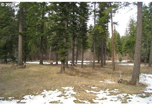 62425 Matterhorn Road Joseph, OR 97846 - Photo 1 of 5 Gallery Image 1