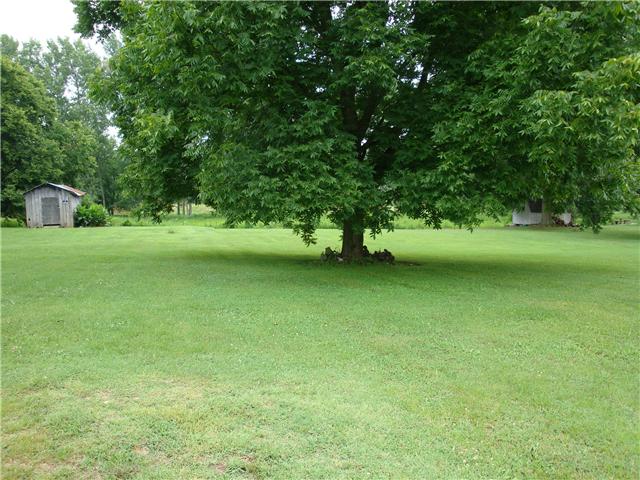 7833 Mt Joy Road Mount Pleasant, TN 38474 - Photo 23 of 30 Back/side yard view