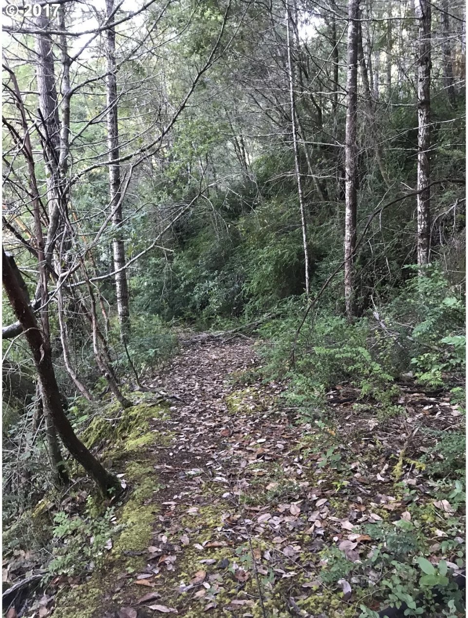 Old House Creek Road Agness, OR 97406 - Photo 1 of 31