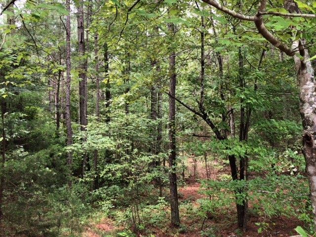 0 Keene Road Enville, TN 38332 - Photo 16 of 16