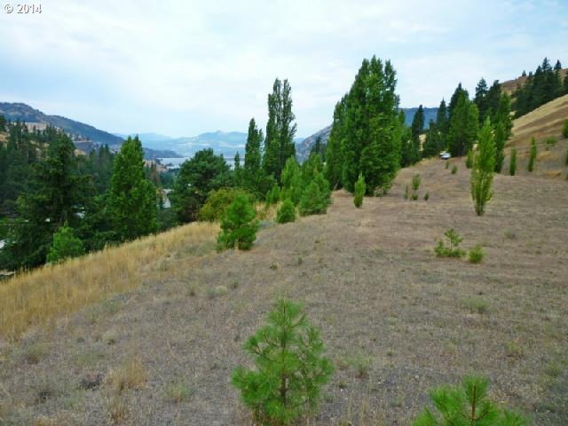 381 State Road The Dalles, OR 97058 - Photo 8 of 16 Gallery Image 8