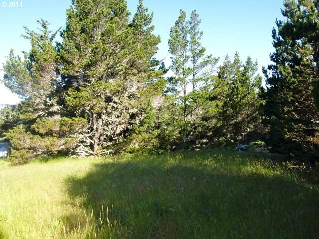 23896 Carpenterville Road Brookings, OR 97415 - Photo 8 of 13