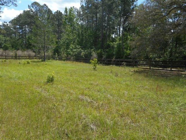 6444 Solano Farm Road Elkton, FL 32033 - Photo 10 of 33