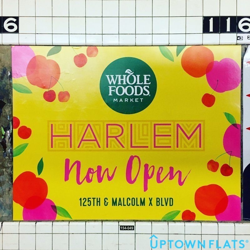 56 West 127th Street, Unit 3B Manhattan, NY 10027 - Photo 11 of 13