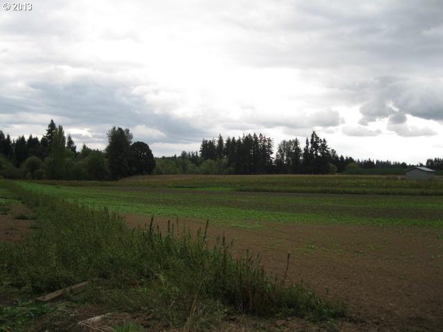 18916 Butteville Road Northeast Aurora, OR 97002 - Photo 7 of 7