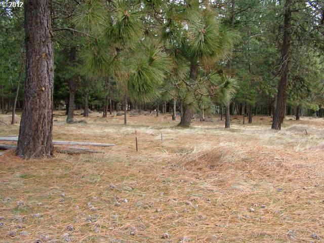 Austin Road Goldendale, WA 98620 - Photo 5 of 15 Gallery Image 5