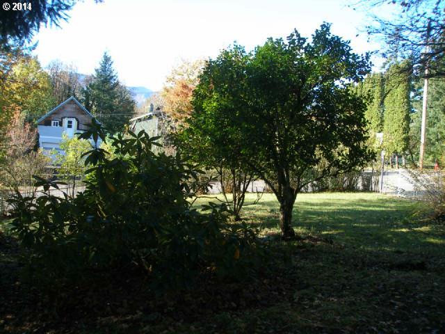 320 Northwest Chesser Road Stevenson, WA 98648 - Photo 3 of 15