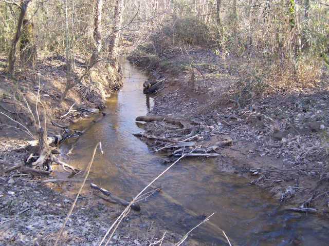 0 Damon Road Counce, TN 38326 - Photo 5 of 8 Gallery Image 5