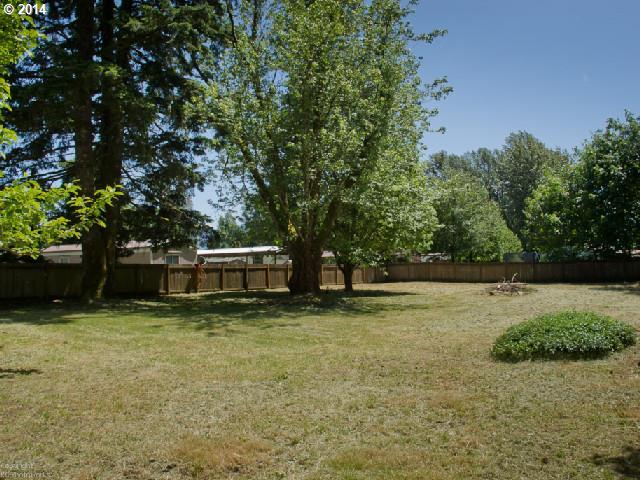 121 High Bridge Road Carson, WA 98610 - Photo 4 of 14 Gallery Image 4