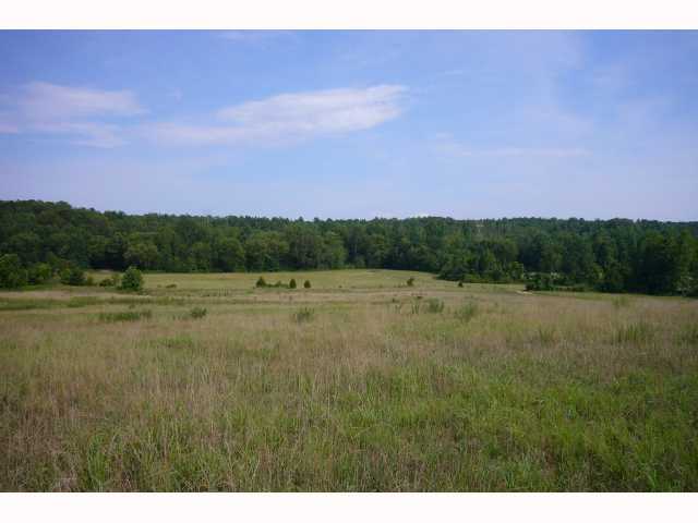 1095 Hannis Road Bolivar, TN 38008 - Photo 2 of 9 Gallery Image 2