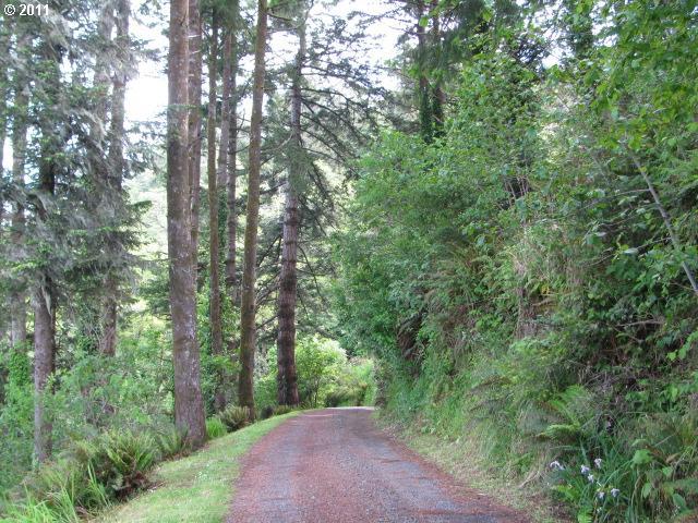 28687 Brooks Road Gold Beach, OR 97444 - Photo 3 of 16 Gallery Image 3