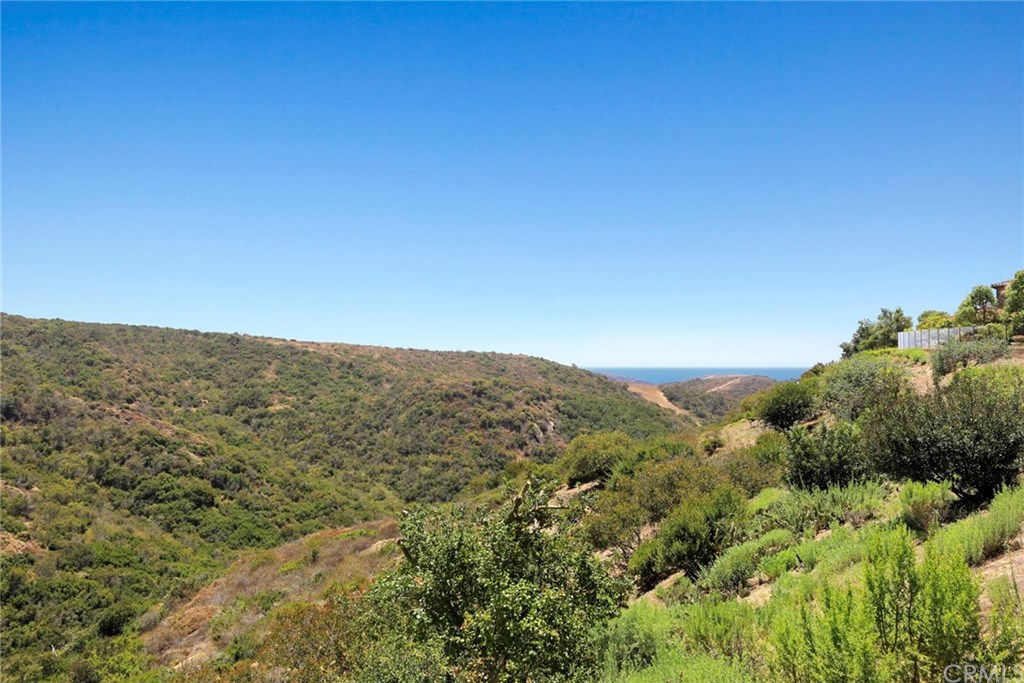 39 Pacific Mist Newport Coast, CA 92657 - Photo 18 of 30