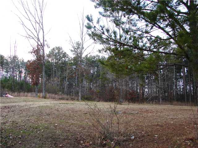 0 Robinson Road Counce, TN 38326 - Photo 6 of 6 Gallery Image 6