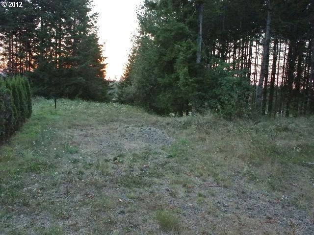 176 Peppermill Road Kelso, WA 98626 - Photo 11 of 16 Gallery Image 11