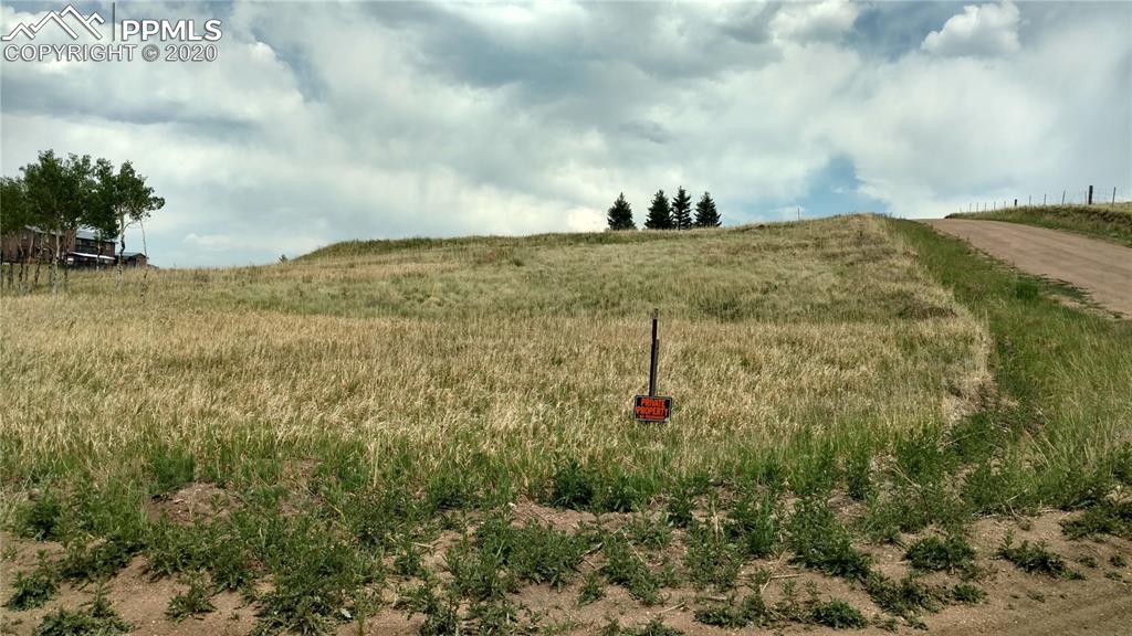 34 Herald Lane Divide, CO 80814 - Photo 4 of 16