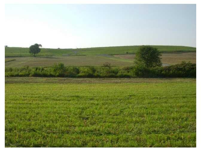 0 Wilson Road Worthington, PA 16262 - Photo 8 of 9