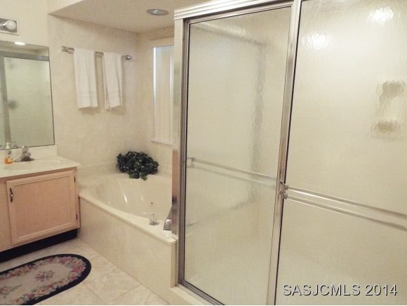 529 Moultrie Wells Road St. Augustine, FL 32086 - Photo 10 of 23 Master Bath with Tub & Shower