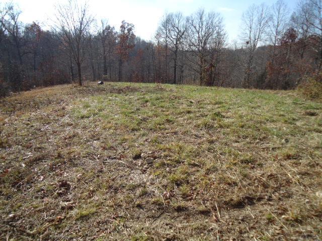 1325 Roberts Road Goodlettsville, TN 37072 - Photo 21 of 27 Gallery Image 21