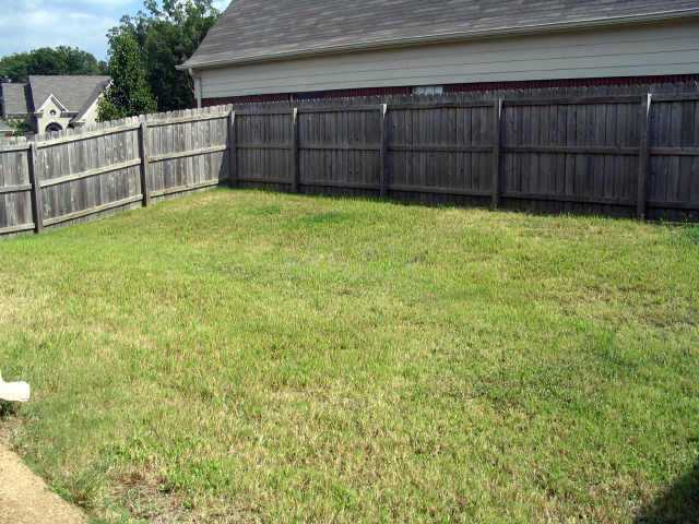 9763 Riggin Drive Memphis, TN 38002 - Photo 4 of 6 Back Yard