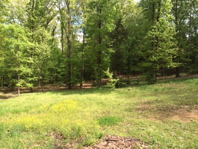470 Stewart Road Eads, TN 38028 - Photo 10 of 25 Gallery Image 10