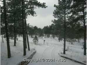 18275 Martingale Road Monument, CO 80132 - Photo 2 of 6 Gallery Image 2