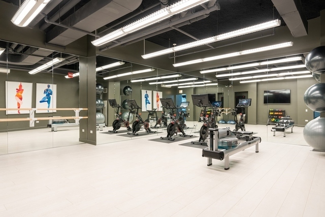 450 E Waterside Dr, Chicago, IL 60601 - Photo 8 of 20