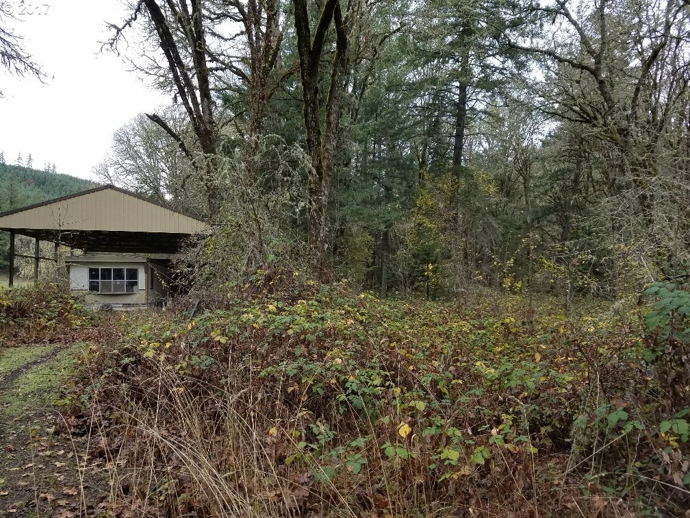 493 Thomas Road Sutherlin, OR 97479 - Photo 2 of 6