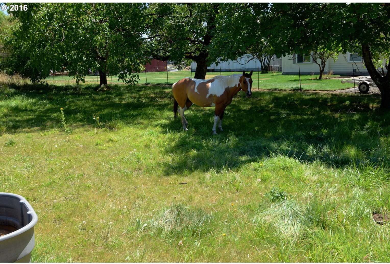 17803 Dunn Road Northeast Hubbard, OR 97032 - Photo 26 of 31