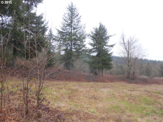 0 Ragland Road, Unit LOT D Longview, WA 98632 - Photo 3 of 5 Gallery Image 3