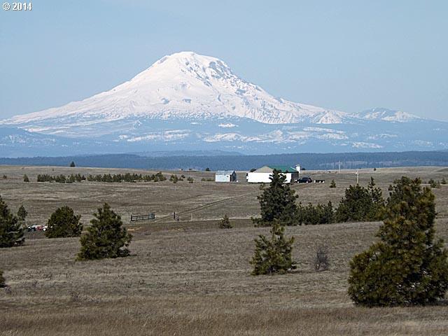 Prairie Rose Lane Lyle, WA 98635 - Photo 11 of 15 Gallery Image 11