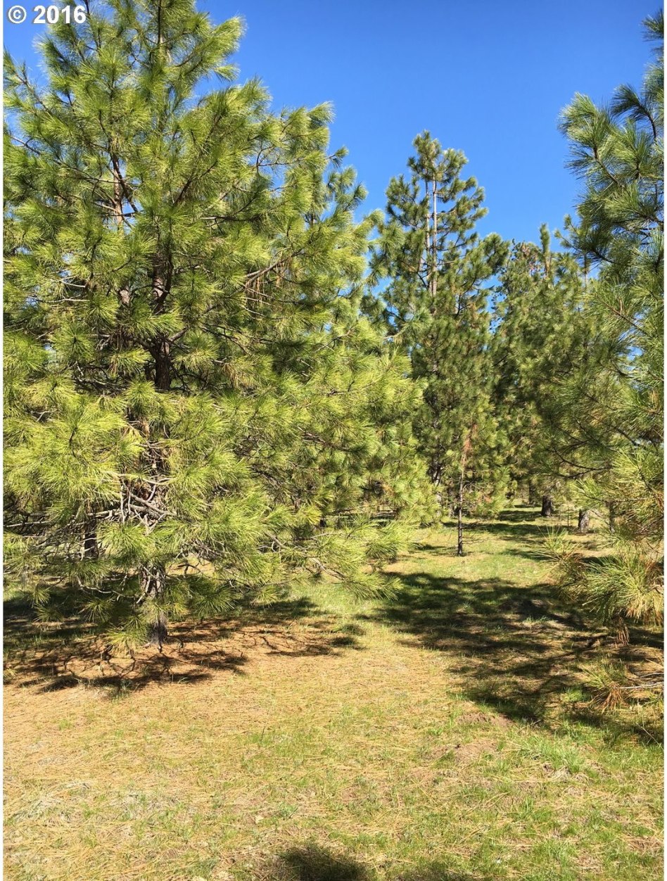 Whispering Pines Goldendale, WA 98620 - Photo 12 of 12