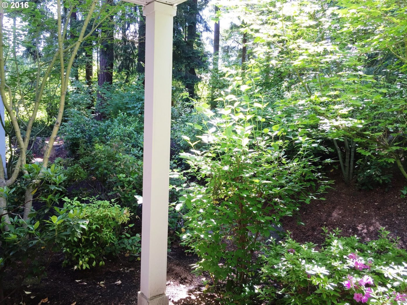 14168 Southwest Barrows Road, Unit 1 Tigard, OR 97223 - Photo 19 of 24 Gallery Image 19